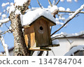 A birdhouse with snow piled up on the roof A birdhouse with snow piled up on the roof 134784704