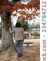A middle-aged woman standing alone in an autumn park A middle-aged woman standing alone in an autumn park 134784712
