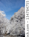 A view of blue skies and snow-covered trees A view of blue skies and snow-covered trees 134784755