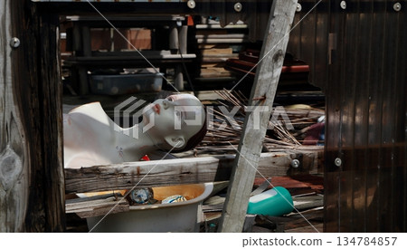 廢棄房屋中遺棄的美麗人體模特兒 2 廢棄房屋中遺棄的美麗人體模特兒 2 134784857