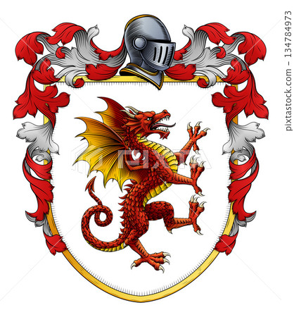 Dragon Coat of Arms Family Crest Heraldic Shield Dragon Coat of Arms Family Crest Heraldic Shield 134784973