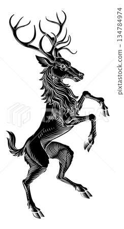 Heraldry Stag Deer Coat of Arms Heraldic Animal Heraldry Stag Deer Coat of Arms Heraldic Animal 134784974