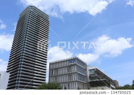 千葉縣柏之葉校園街景 千葉縣柏之葉校園街景 134785025