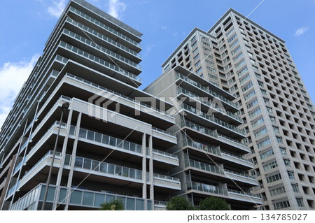 千葉縣柏之葉校園街景 千葉縣柏之葉校園街景 134785027