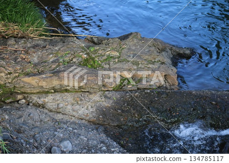 Median Tectonic Line thrust fault, Tobe Town, Ehime Prefecture 134785117