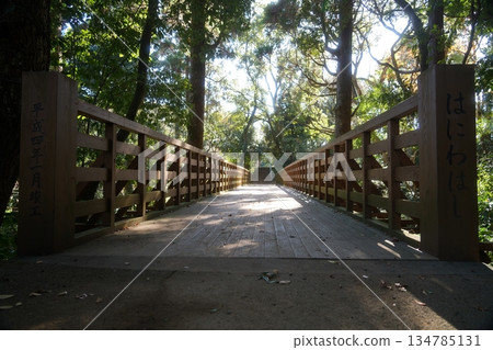 宮崎縣宮崎市平和台公園的埴輪橋 134785131