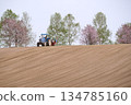 Spring scenery in Biei 134785160