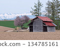 Spring snow and cherry trees 134785161