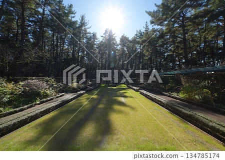 English garden in Miyazaki City, Miyazaki Prefecture English garden in Miyazaki City, Miyazaki Prefecture 134785174