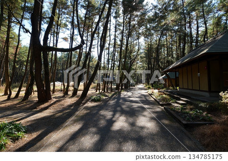 English garden in Miyazaki City, Miyazaki Prefecture English garden in Miyazaki City, Miyazaki Prefecture 134785175