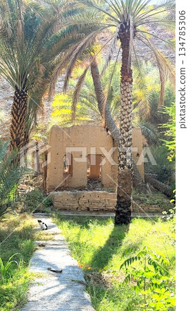 Peaceful Natural Refuge, Calm Haven Amidst Lush Greenery, Tranquil Shelter Tucked Away In Vibrant Leafy Surroundings, Quiet Sanctuary Concealed Among Abundant Foliage And Glowing Sunlight Rays Peaceful Natural Refuge, Calm Haven Amidst Lush Greenery, Tranquil Shelter Tucked Away In Vibrant Leafy Surroundings, Quiet Sanctuary Concealed Among Abundant Foliage And Glowing Sunlight Rays 134785306