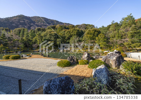 Tenryuji Temple (Winter morning) Sogenchi Pond Garden 134785338