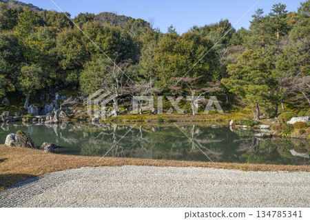 Tenryuji Temple (Winter morning) Sogenchi Pond Garden 134785341