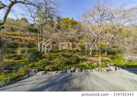 天龍寺（冬季） 134785343