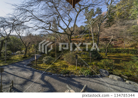 Tenryuji Temple (Winter Tenryuji Temple (Winter 134785344