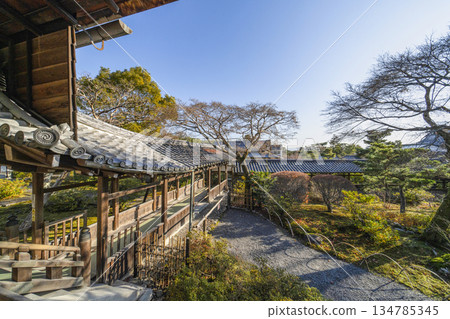 天龍寺（冬季）走廊 134785345