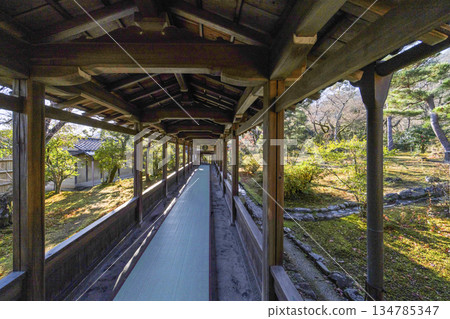 天龍寺（冬季）走廊 134785347