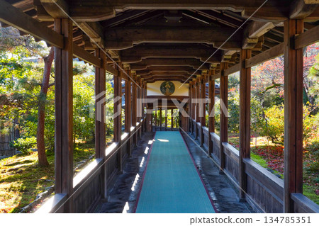 天龍寺（冬日清晨）走廊 134785351
