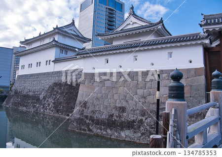 Sunpu Castle 134785353