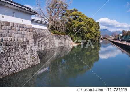 Sunpu城堡 Sunpu城堡 134785359