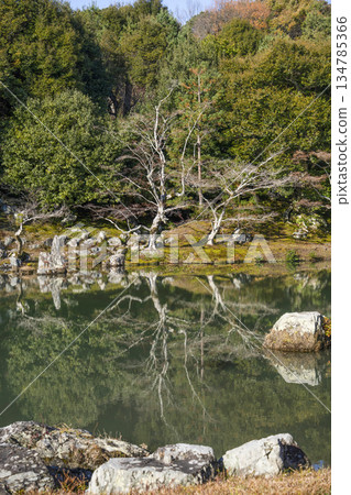 天龍寺（冬天的早晨）曹源池 134785366