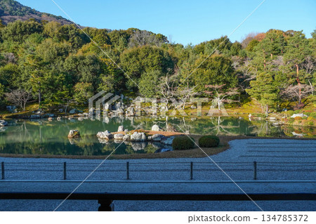 Tenryuji Temple (Winter morning) Sogenchi Pond Garden 134785372