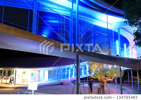 [Kagawa Prefecture] Yashima Light-up & Projection Mapping 134785465