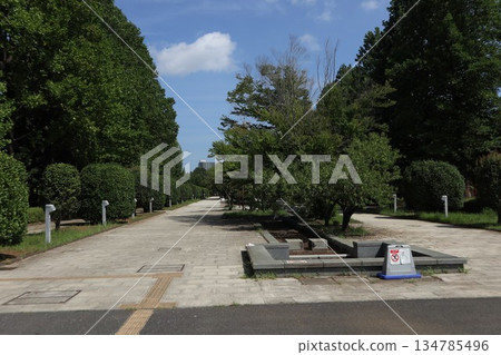 Chiba Prefecture Kashiwa Park 134785496