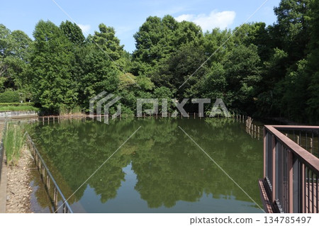 Chiba Prefecture Kashiwa Park 134785497