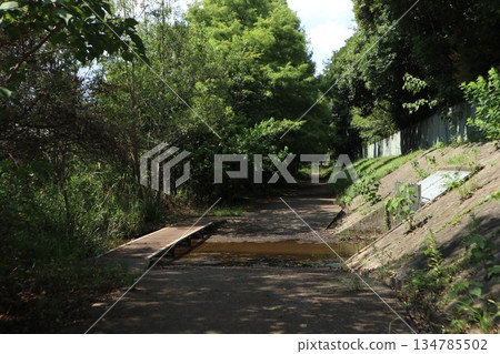 Chiba Prefecture Kashiwa Park Chiba Prefecture Kashiwa Park 134785502