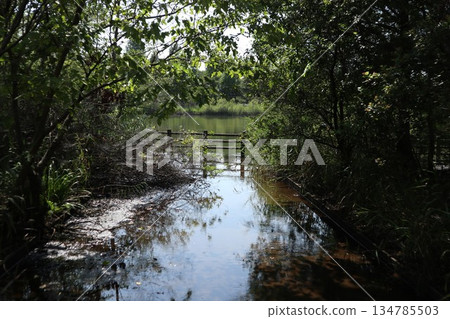 Chiba Prefecture Kashiwa Park 134785503