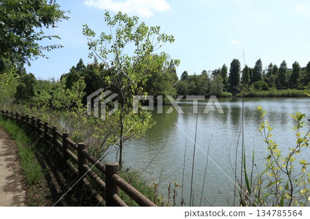 Chiba Prefecture Kashiwa Park 134785564