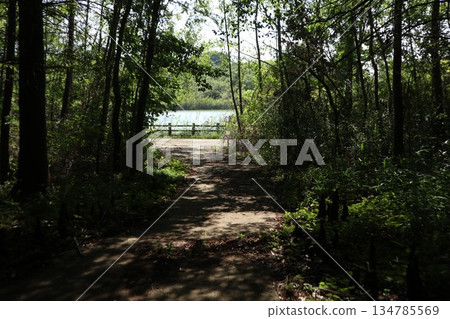 千葉縣柏市公園 千葉縣柏市公園 134785569