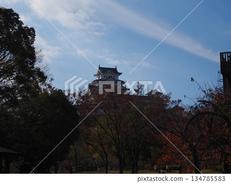 Himeji castle in autumn Himeji castle in autumn 134785583