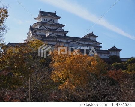 Himeji castle in autumn Himeji castle in autumn 134785585