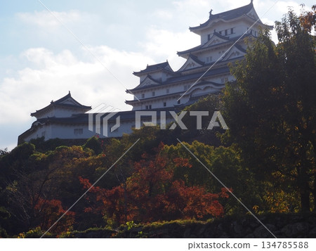 Himeji castle in autumn Himeji castle in autumn 134785588