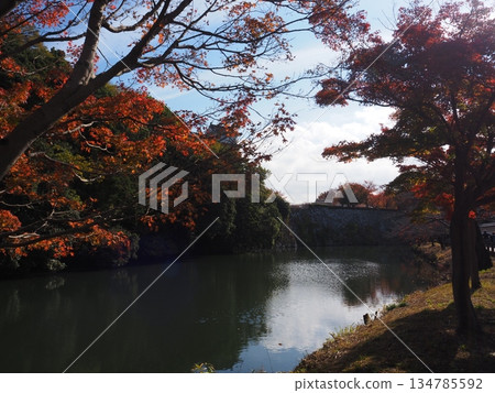 Himeji castle in autumn Himeji castle in autumn 134785592