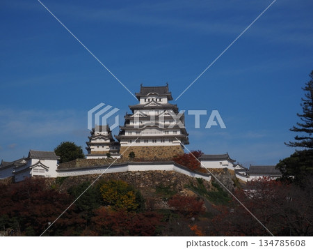 Himeji castle in autumn Himeji castle in autumn 134785608