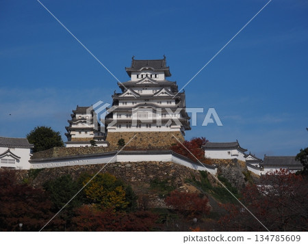 Himeji castle in autumn Himeji castle in autumn 134785609