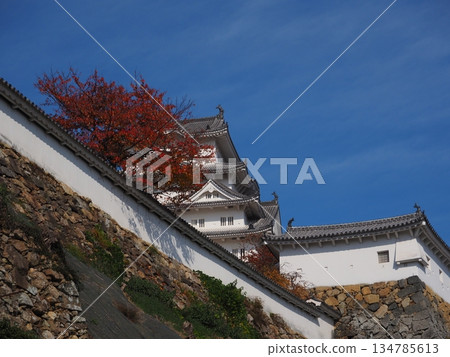 Himeji castle in autumn Himeji castle in autumn 134785613