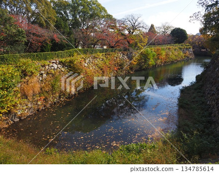 Himeji castle in autumn 134785614