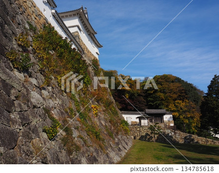 Himeji castle in autumn Himeji castle in autumn 134785618