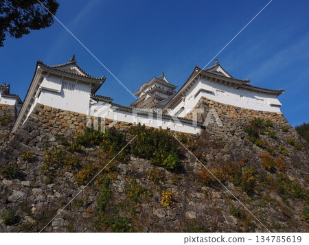 Himeji castle in autumn Himeji castle in autumn 134785619