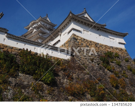 Himeji castle in autumn Himeji castle in autumn 134785620