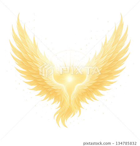 Golden flame sacred wings effect material Golden flame sacred wings effect material 134785832