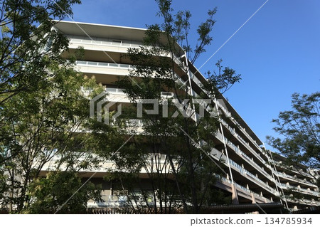 Kashiwanoha Campus streetscape, Chiba Prefecture Kashiwanoha Campus streetscape, Chiba Prefecture 134785934
