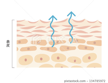 Evaporation of water 134785972