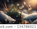 First snowdrops in spring created with ai generative technology 134786021