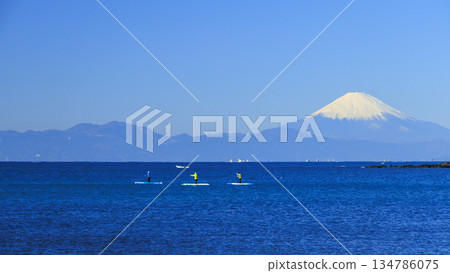 View of the snow-capped wisteria across Sagami Bay 134786075