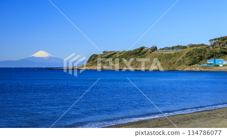 View of the snow-capped wisteria across Sagami Bay 134786077